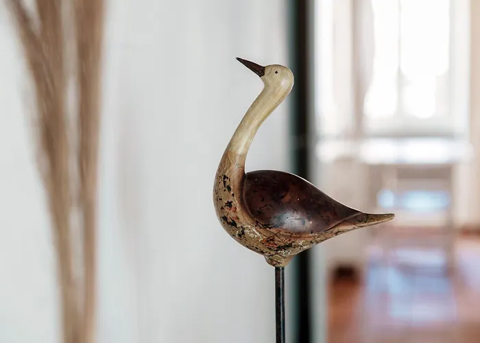 Pardo By Quokka 360 - Old Town アパート *