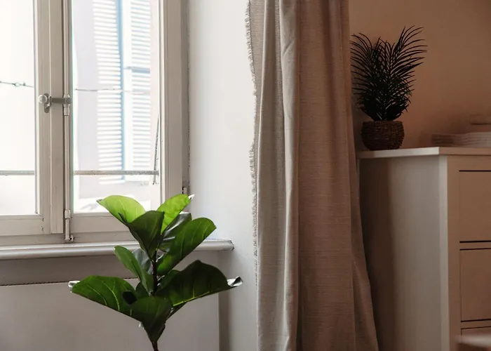 Pardo By Quokka 360 - Old Town ロカルノ